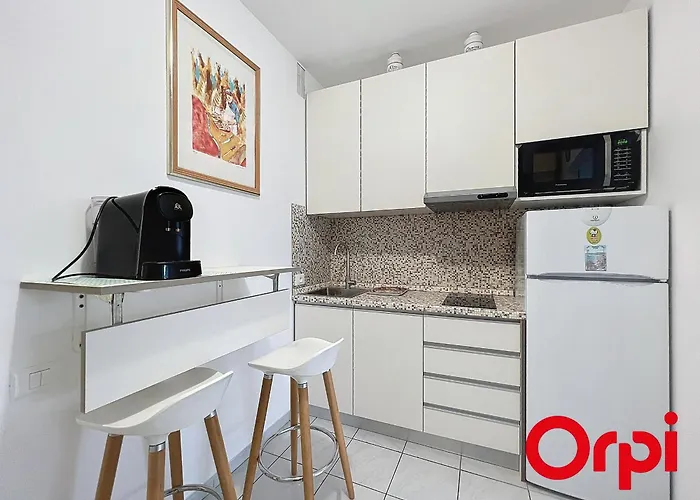 Confortable Climatise Avec Parking A - Fr-1-647-52 Apartament